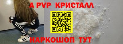 стаф Кингисепп
