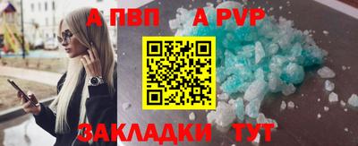 стаф Кингисепп