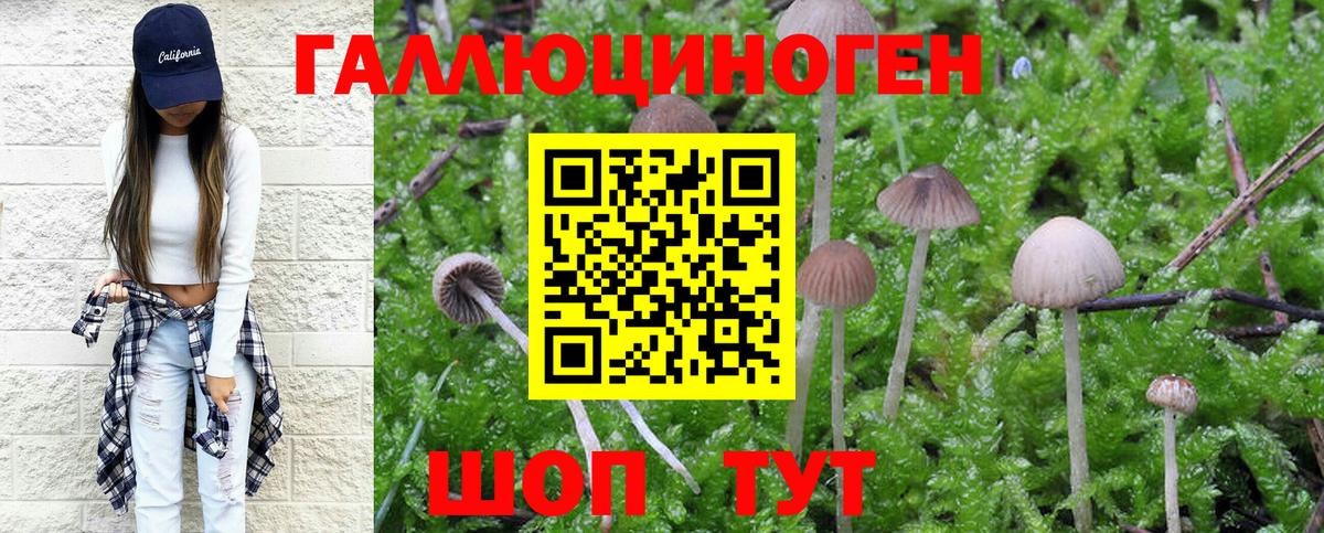 Псилоцибиновые грибы Magic Shrooms  Вход с VPN  Псилоцибиновые грибы Psilocybe  закладки  Жигулёвск 